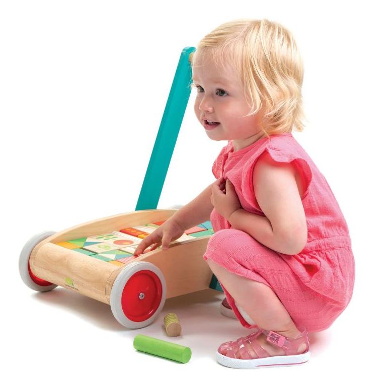 Tender Leaf Baby Block Walker Baby Toys Tender Leaf Toys