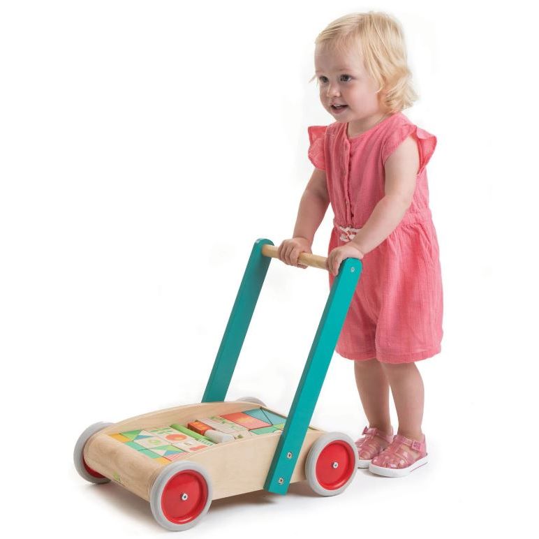 Tender Leaf Baby Block Walker Baby Toys Tender Leaf Toys