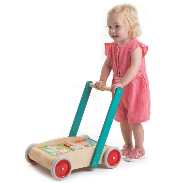 Tender Leaf Baby Block Walker Baby Toys Tender Leaf Toys