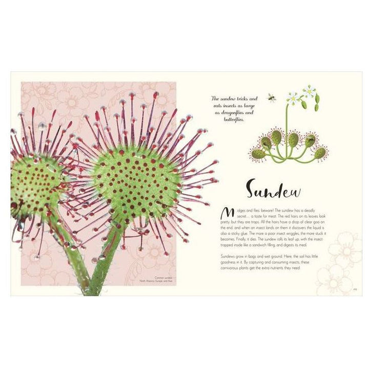 The Wonders of Nature Books Ingram Books