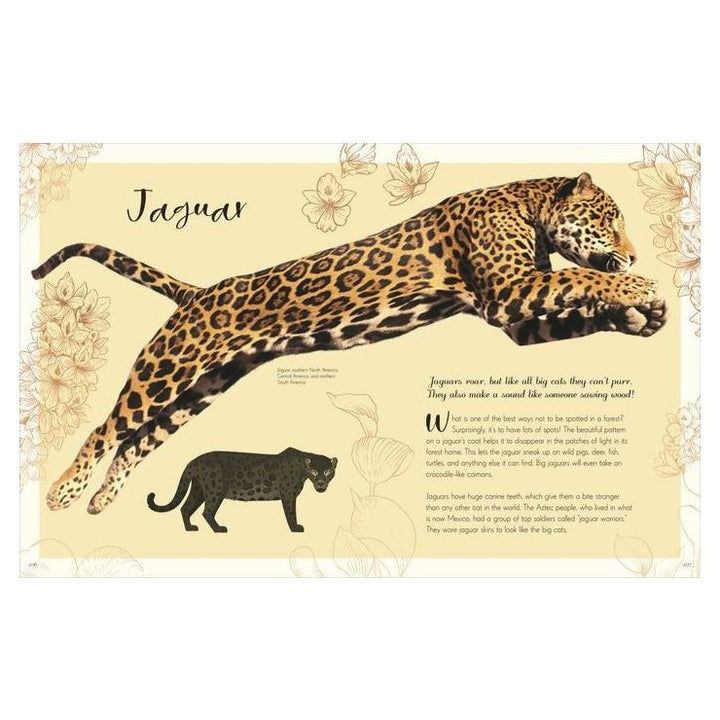 The Wonders of Nature Books Ingram Books