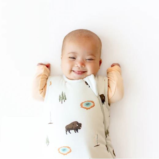 Kyte Baby Sleep Bag 1.0 Sleep Bags Kyte Baby