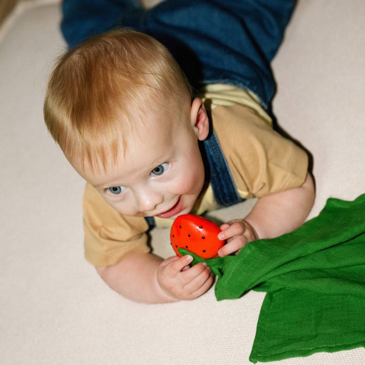 Oli &amp; Carol Sweetie the Strawberry Big Doudou