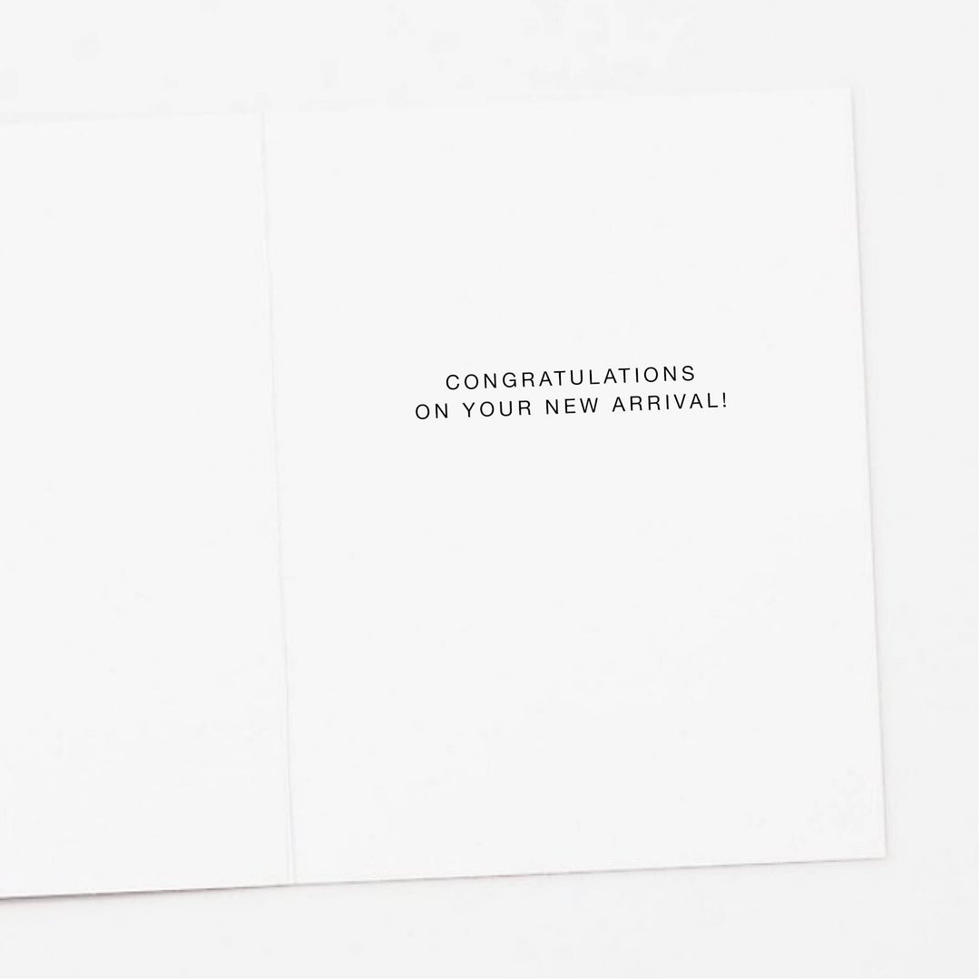 Stork Oh Baby New Baby Greeting Card