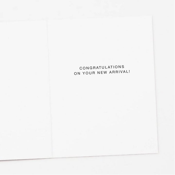 Stork Oh Baby New Baby Greeting Card