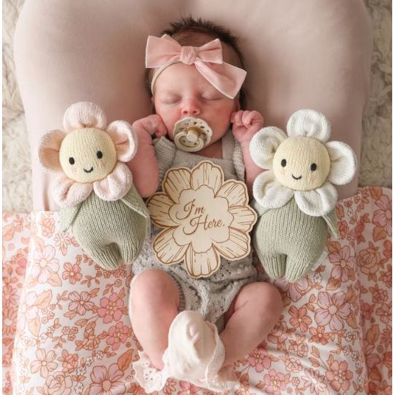 Cuddle + Kind Baby Daisy Blush Pink Baby Animal Collection Cuddle + Kind