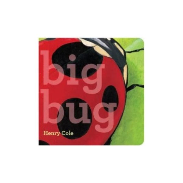 Big Bug Board Book Books Ingram Books   