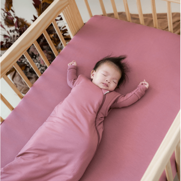 Kyte Baby Sleep Bag 1.0