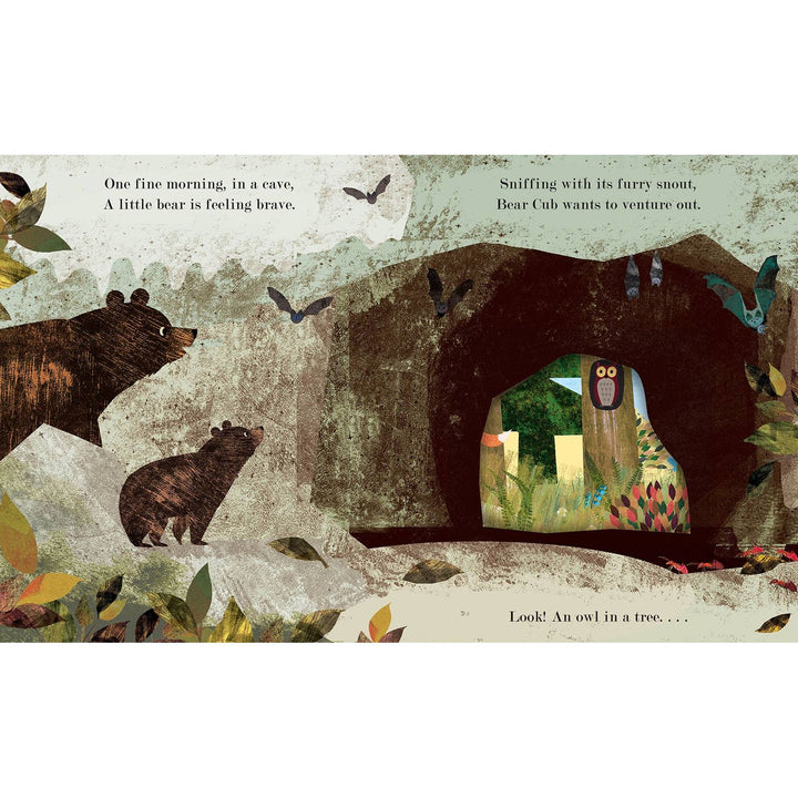 Home: A Peek-Through Board Book Books Penguin Random House