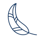 Simple line drawing of a feather on a white background