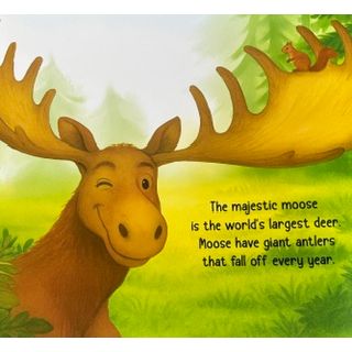 Marvelous Mammals Paperback Books Discovery Rhymes