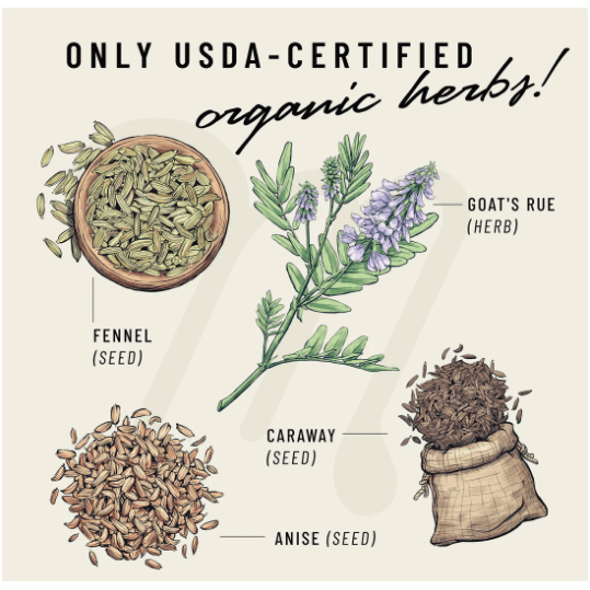 Legendairy Milk - Lechita 60 caps Supplements & Remedies Legendairy Milk   