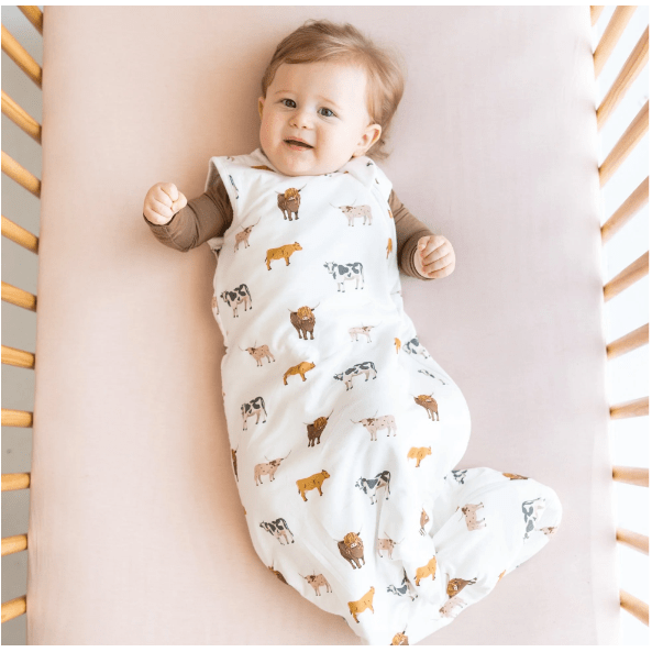 Kyte Baby Sleep Bag 1.0 Bundler Kyte Baby   