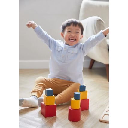 Plan Toys Nesting Puzzle - Unit Plus Puzzle and Educational Plan Toys   
