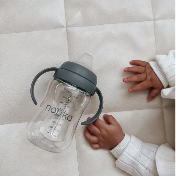 Noüka Transitional Sippy/Weighted Straw Cup Mealtime Noüka   