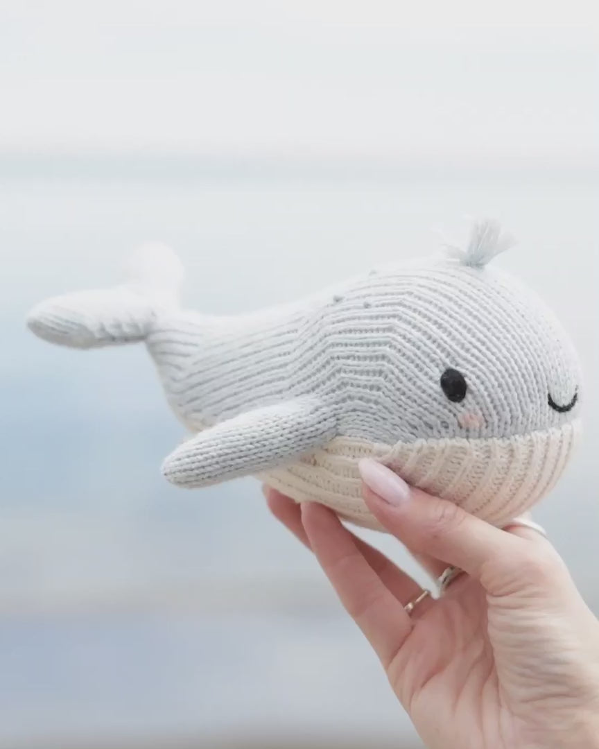 Cuddle + Kind Baby Whale