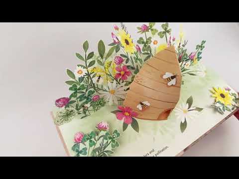 Up with Paper - Flora: A Botanical Pop Up Book Books Jumping Jack Press