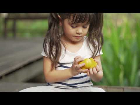 Plan Toys Wonky Fruit & Vegetables Toddler And Pretend Play Plan Toys
