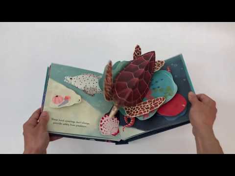 Up with Paper Pop Up Book - Shells
