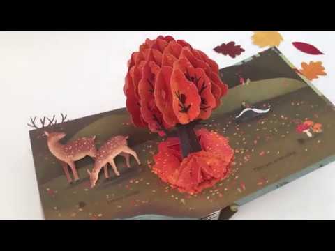 Up with Paper- Leaves, An Autumn Pop Up Book Books Jumping Jack Press
