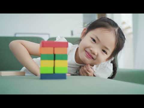 Plan Toys Nesting Puzzle - Unit Plus Puzzle and Educational Plan Toys