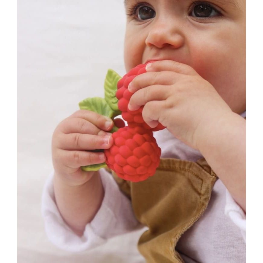 Oli & Carol - Valery the Raspberry Pacifiers and Teething Oli & Carol