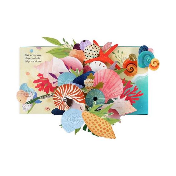 Up with Paper Pop Up Book - Shells Books Jumping Jack Press   