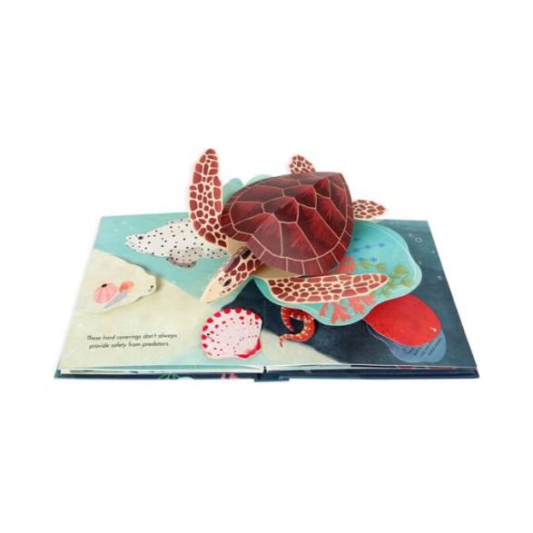 Up with Paper Pop Up Book - Shells Books Jumping Jack Press   