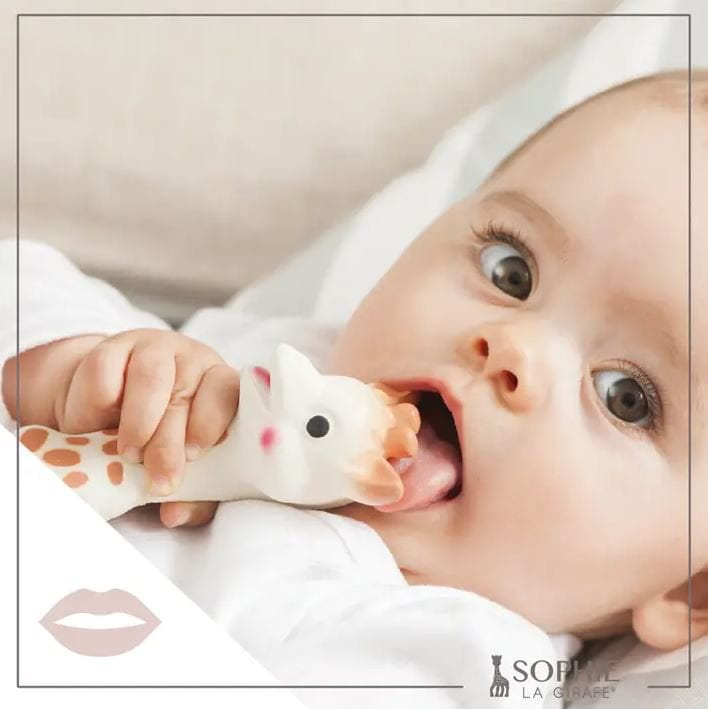 Sophie la Girafe White Box- Classic