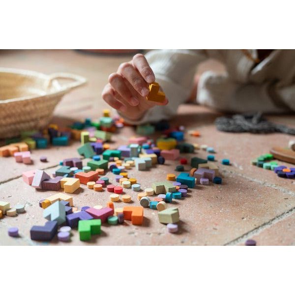 Grapat Mis Match and Bloom Color Sorting Game Wooden Toys Grapat