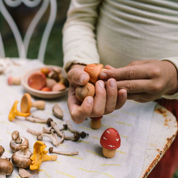 Grapat Play Set Mushroom Grove Wooden Toys Grapat