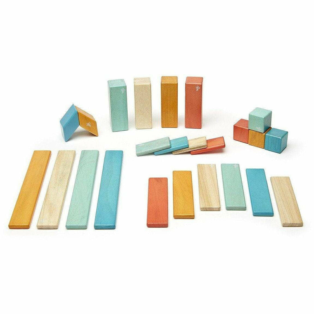 Tegu 24 Piece Magnetic Wooden Block Set: Sunset Wooden Toys Tegu   