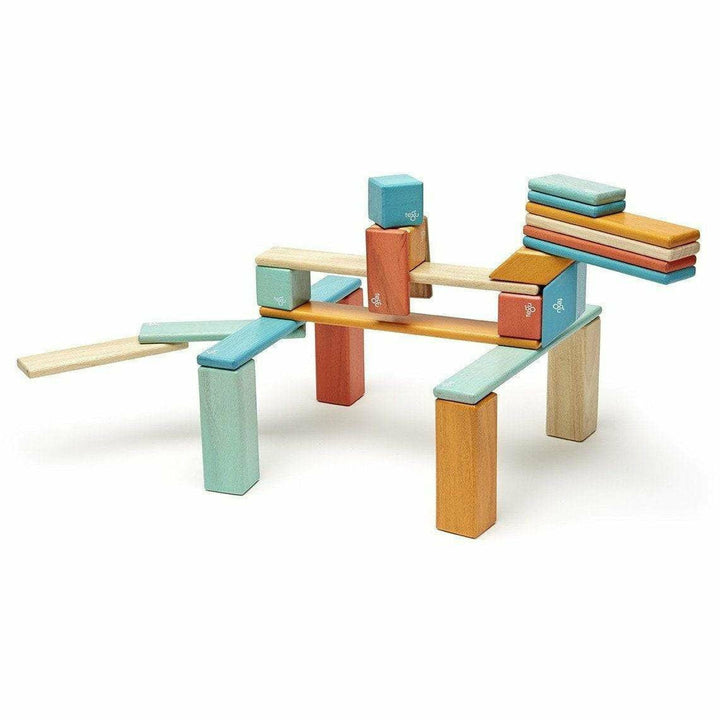 Tegu 24 Piece Magnetic Wooden Block Set: Sunset Wooden Toys Tegu   