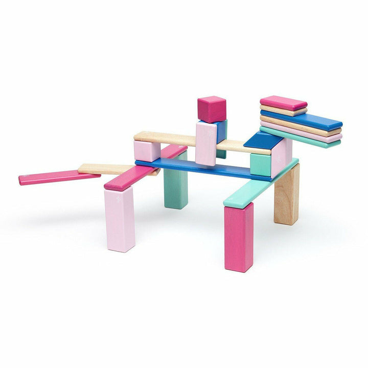 Tegu 24 Piece Magnetic Wooden Block Set: Blossom Wooden Toys Tegu   