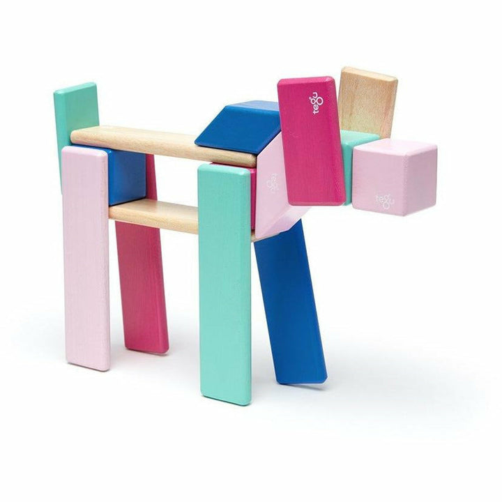 Tegu 24 Piece Magnetic Wooden Block Set: Blossom Wooden Toys Tegu   
