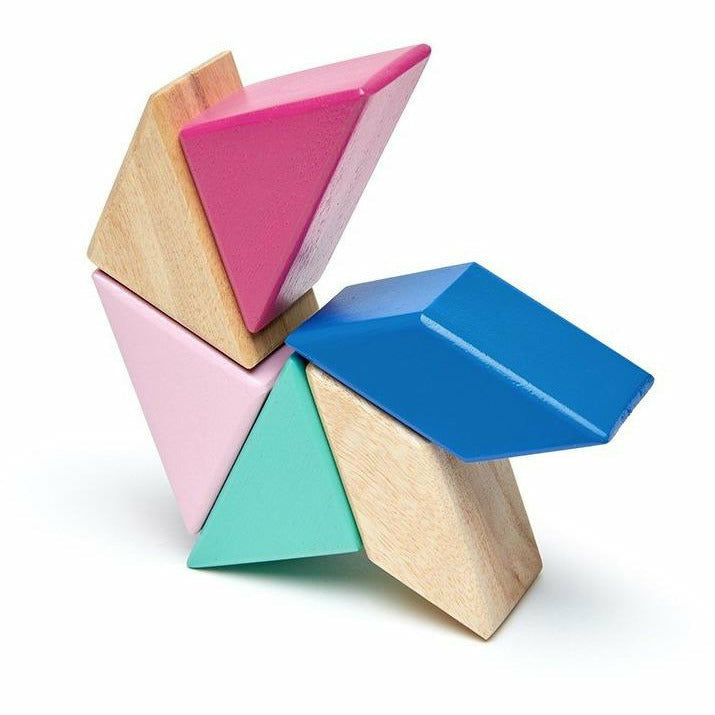 Tegu Pocket Pouch Prism: Blossom Wooden Toys Tegu   