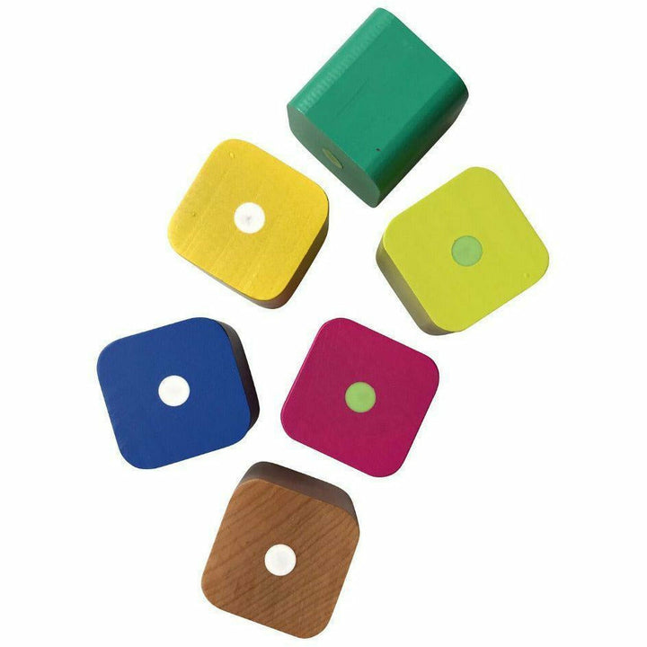 Tegu Baby's First Blocks Wooden Toys Tegu 6 Piece  