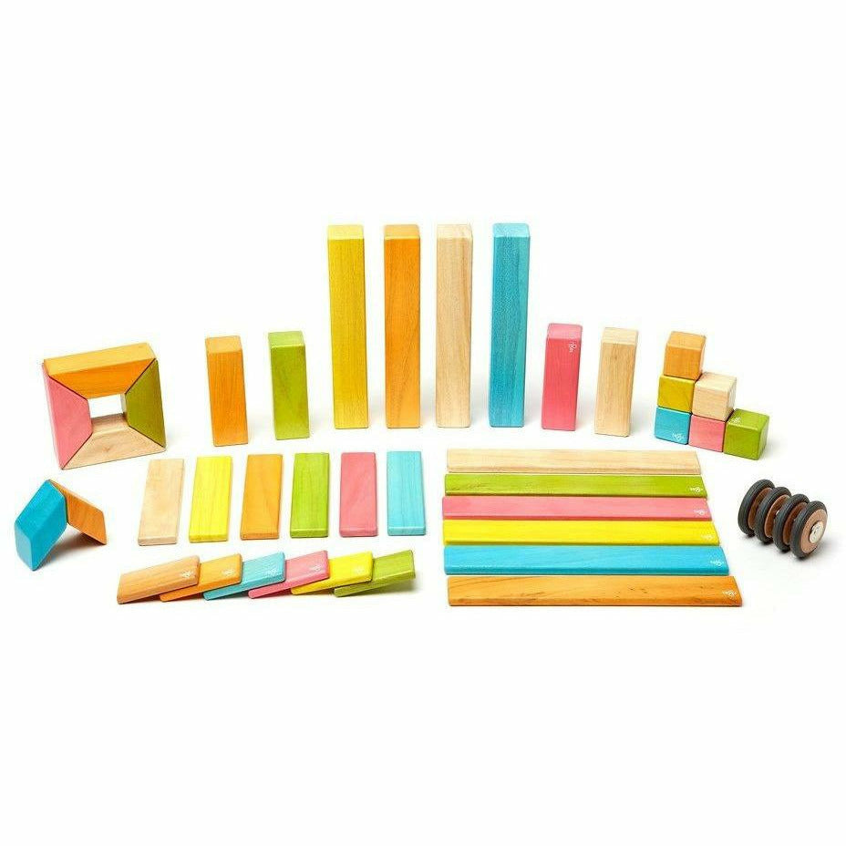 42 Piece Magnetic Wooden Block Set: Tints Wooden Toys Tegu   