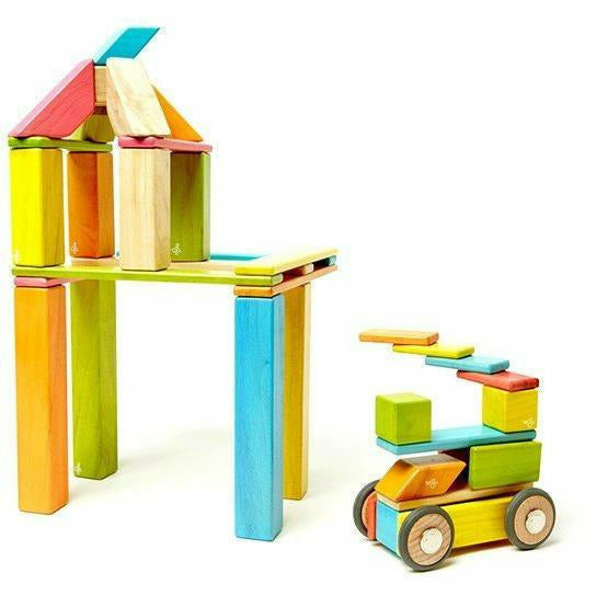42 Piece Magnetic Wooden Block Set: Tints Wooden Toys Tegu   