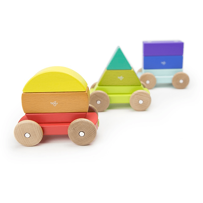 Tegu Magnetic Shape Train Rainbow Wooden Toys Tegu   