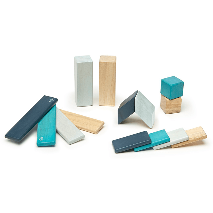 14 Piece Magnetic Wooden Block Set: Blues Wooden Toys Tegu   