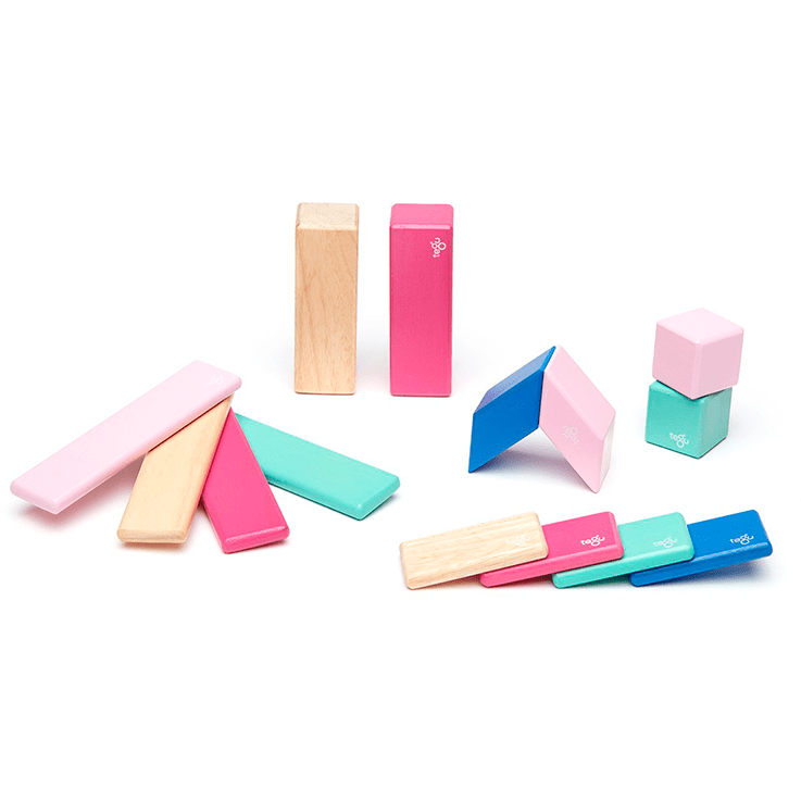 14 Piece Magnetic Wooden Block Set: Blossom Wooden Toys Tegu   