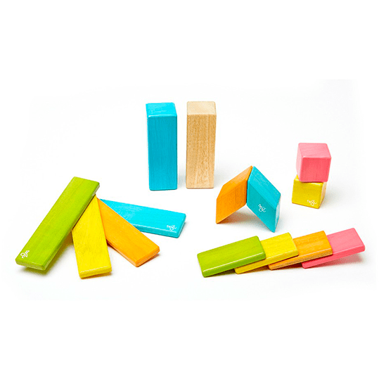 14 Piece Magnetic Wooden Block Set: Tints Wooden Toys Tegu   
