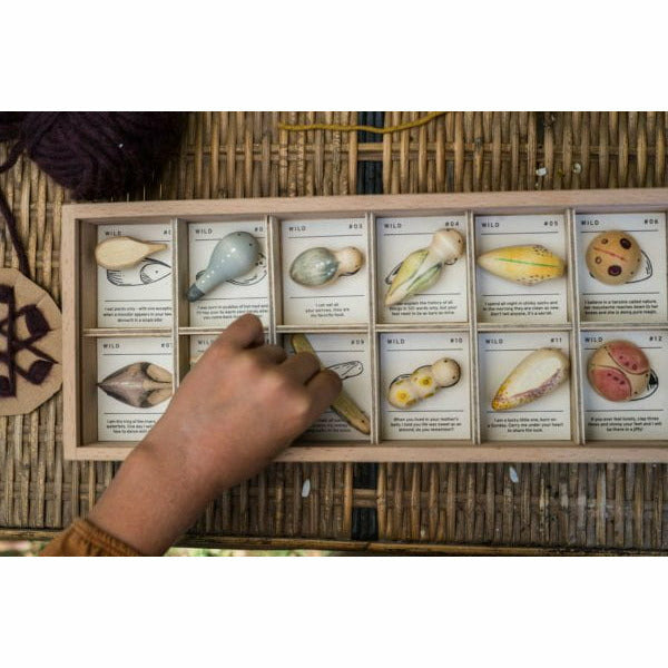 【SALE】GRAPAT　グラパット　ワイルド　Wild Order Grapat Wild Exploration Set - The Natural Baby Co