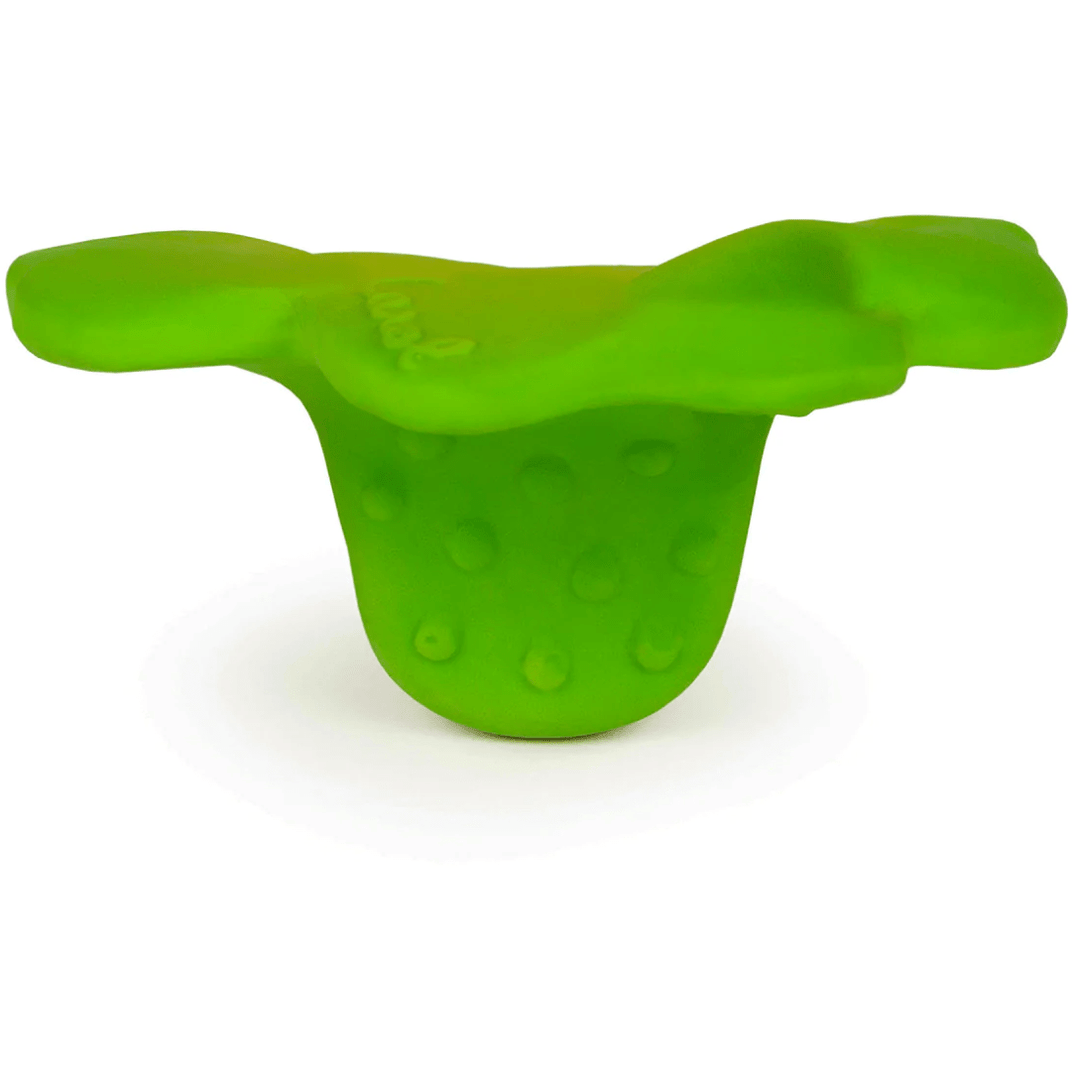 Oli & Carol Eli The Clover Pacifiers and Teething Oli & Carol   