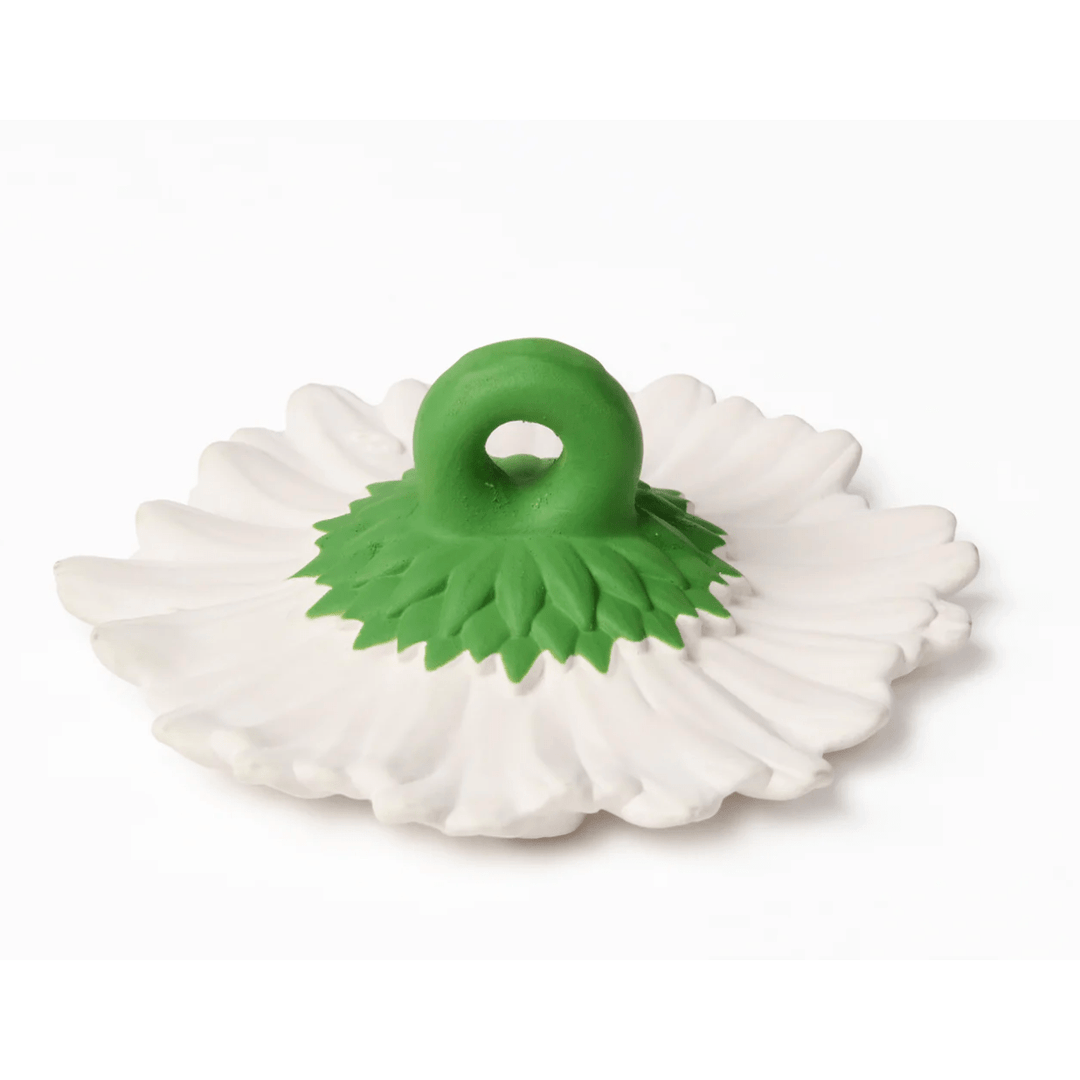 Oli & Carol Margarita The Daisy Pacifiers and Teething Oli & Carol   