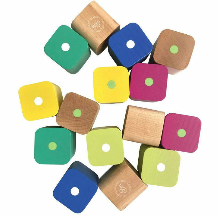 Tegu Baby's First Blocks Wooden Toys Tegu 15 Piece  