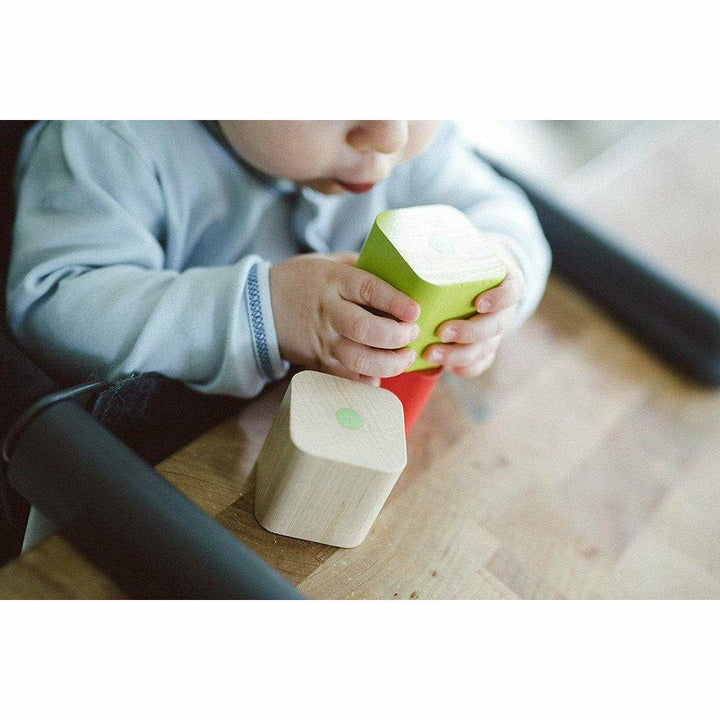Tegu Baby's First Blocks Wooden Toys Tegu   