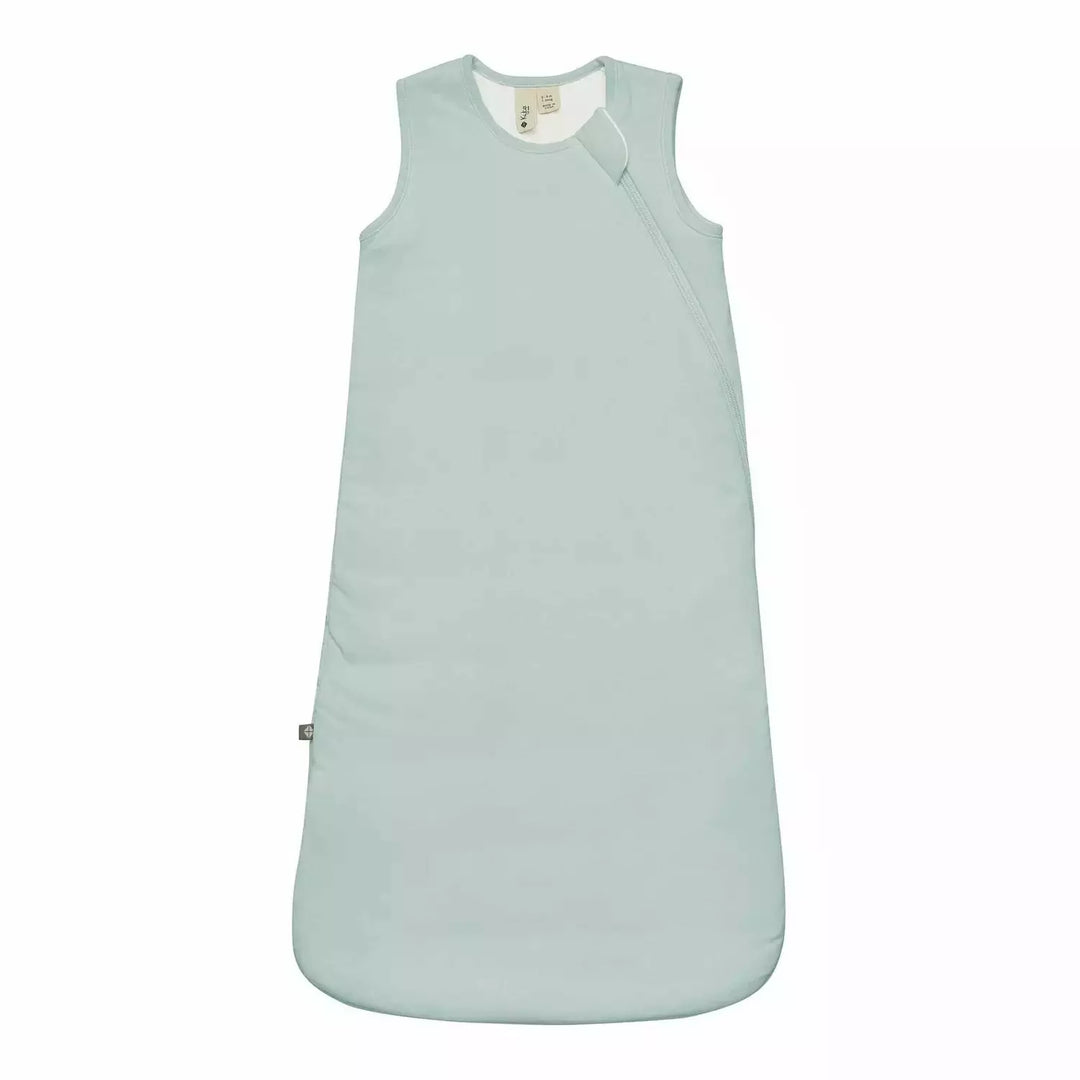 Kyte baby hotsell sleep bag sale