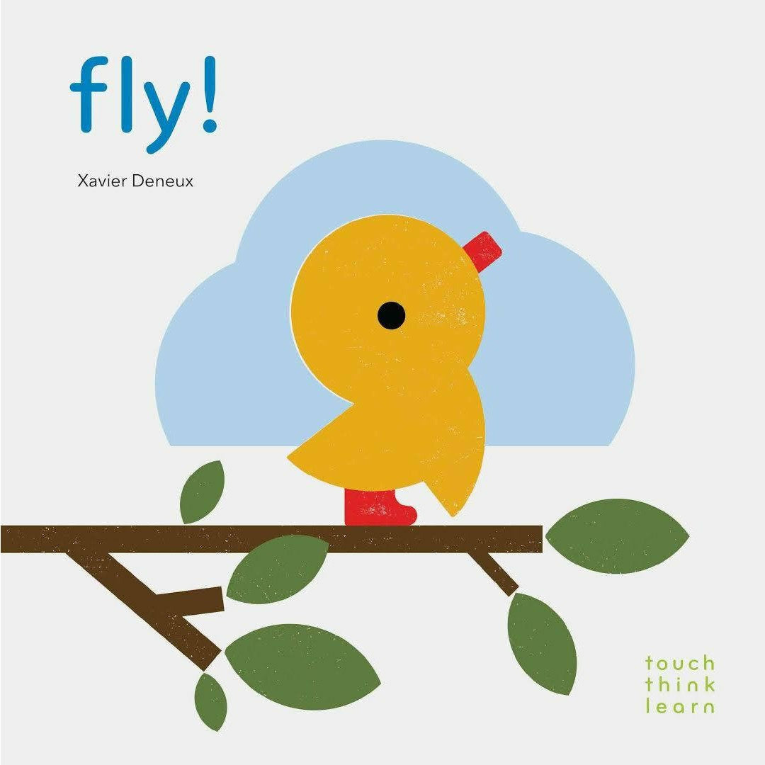 Touch Think Learn - Fly Books Ingram Books   